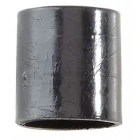 WATTS Cap: Cap, 4000B/LF4000B, Plastic, Backflow Preventer, 1/8 in Connection Size - Side 1, Male (MPN SAE-TC Plastic Cap 1/8 SAE)