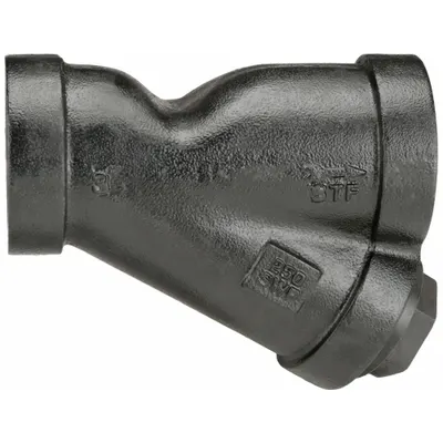 Y Strainer: 2 1/2 in - Cast Iron Y Strainers
