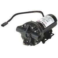 DELAVAN AG PUMPS Diaphragm Pump: Electric, 5850-111E-SB-HS, Polypropylene, Santoprene, 5 Diaphragms