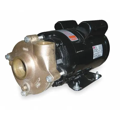 Dayton Pompa Sentrifugal: 1 1/2 hp, 115/230V AC, Tinggi Maks 67 ft, 1 1/2 in - 1 to 1-1/2 HP Straight Centrifugal Pumps