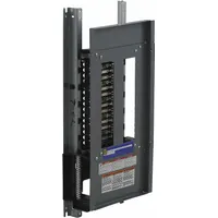 Panelboard Interior: 30 Spaces, 100 A Amps, Aluminum, QHB/QOB/QOB-VH, 27 in Ht, 10 7/16 in Wd (MPN NQ430L1)