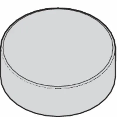 WIDIA Sisipan Pembubutan: RNGN120700T20015 (MPN 2952619) - Round (R) Indexable Turning Inserts