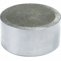 Alnico Magnet: Encased, 0.5 in Thick, 1 in Outside Dia, Round (MPN R1000)