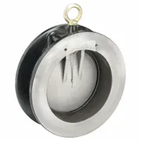 This CHAMPION swing check valve features a ductile iron wafer-style body and a 316 stainless steel disc. Designed for 6-inch pipe systems, the spring-loaded mechanism helps prevent backflow in water, wastewater, and process lines