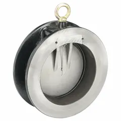 This CHAMPION swing check valve features a ductile iron wafer-style body and a 316 stainless steel disc. Designed for 6-inch pipe systems, the spring-loaded mechanism helps prevent backflow in water, wastewater, and process lines.