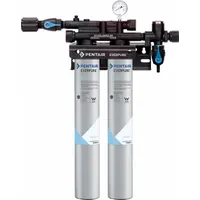 EVERPURE Water Filtration System: 0.5 micron, 7 gpm, FNPT, 25 1/4 in Overall Ht, 50,000 gal (MPN EV932472 -75)