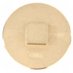 This solid plug is a Class 20 drainage fitting with a 2 in IPS socket connection, made of polished brass. It is rated for 5 psi and used to seal pipe openings in low-pressure drainage systems, such as plumbing and industrial waste lines.