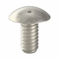 Tamper Resistant Screw: 1/4"-20 Thread Size, 1/2 in Lg, Stainless Steel, Plain, Truss, 10 PK (MPN 6001640)