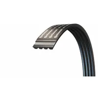 CONTINENTAL V-Belt: 4/B110, 4 Ribs, 113 in Outside Lg, 21/32 in Top Wd, 13/32 in Thick, SBR (MPN 21063627)