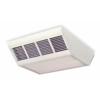 Dayton Surface-Mount Electric Ceiling Heater: Fan Forced, 2500W/3800W/5000W Watt Output - Surface-Mount Electric Ceiling Heaters