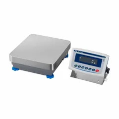Electric-powered industrial balance with 1 g readability and weighing units in dwt. Features RS-232 connection port and IP65 washdown rating for environments with dust and water exposure. Column-mounted design with platform size 13 1/2 in x 15 1/4 in.