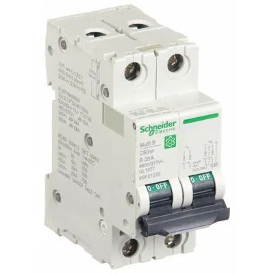 SCHNEIDER Pelindung Tambahan: 25 A Amps, 14kA pada 240V AC, Jepit Sekrup, C60SP - B-Curve, 2-Pole UL1077 DIN Rail-Mount Supplementary Protectors