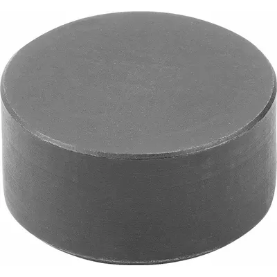 KIPP Sisipan Pemasangan Belakang dengan Permukaan Datar: 20 mm Dia, M6, 10 mm Tinggi - Rear-Mount Steel Inserts with Flat Face