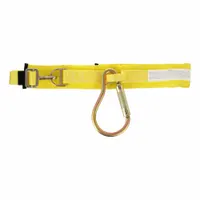 GEMTOR Ladder Escape Belt: Nylon, Quick Connect, Fits 32 in to 54 in Waist (MPN 532-2)