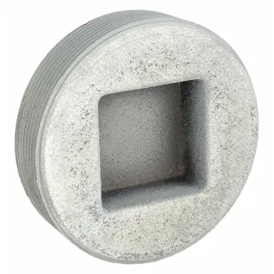 Steker Kosong APPLETON ELECTRIC - Haz Loc: Besi, Galvanis, 1 1/2 in Ukuran Perdagangan, NPT - Hazardous Location Blank Plugs
