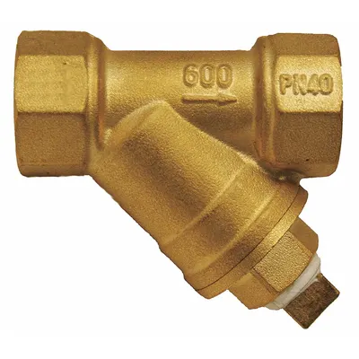 Saringan Y: 2 in - Brass Y Strainers