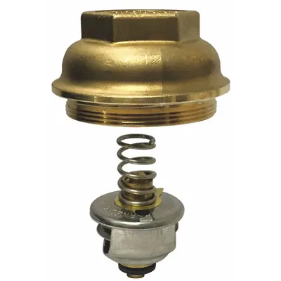 BARNES & JONES Unit Kandang Perangkap Uap: Untuk Sarco (MPN 5000/C) - Thermostatic Cage Units