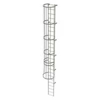 TRI-ARC Fixed Ladder with Safety Cage: 24 ft Overall Ht, 18 in Overall Wd, Steel, 25 Rungs (MPN WLFC1125)