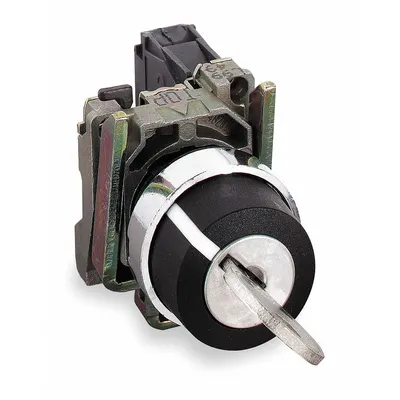 SCHNEIDER Sakelar Pemilih: 2 Posisi, Ukuran Pemasangan Panel 22 mm, 1NO - Panel-Mounted Key Switches with Contacts
