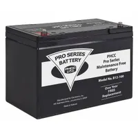 PRO SERIES PUMPS Sump Pump Battery: 12V DC, 100 Ah Capacity, 7.125 in Ht, 6.5 in Wd, 12 in Dp (MPN B12-100)