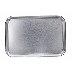 Rectangular Lab Tray, Stainless Steel, 9.88 L, 10 in Overall Length, for Instruments