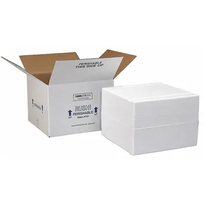 POLAR TECH Wadah Pengiriman Berinsulasi: 10 3/8 in x 10 3/8 in x 7 1/4 in, Ketebalan Dinding Sisipan 1.25 in - Insulated Box & Foam Shipping Kits
