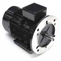 LEESON Metric Motor: 1 hp, C-Face/Rigid Base Mount, 80D Frame Size, Totally Enclosed Fan Cooled (MPN 080T17FH15514)