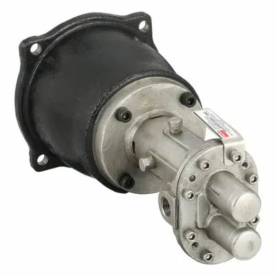 Dayton Kepala Pompa Gigi Rotary: Penggerak Langsung, Baja Tahan Karat 316, 3/8" FNPT, PPS - C-Face Mount Gear Pump Heads