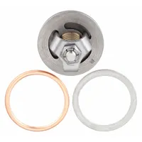 SPEEDAIRE Assembly,Hp Intake Valve: Z11938, PL15A/PL30A/RP15