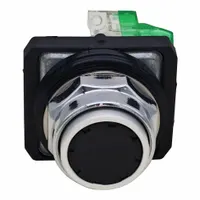 DAYTON Flush Push Button Operator: Non-Illuminated, Flush Profile, Metallic, 30 mm, 1NO (MPN GGS_116336)