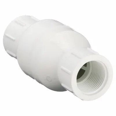 Dayton Spring Check Valve: Inline Valve Body, 1 in Pipe Size, IPT x IPT, PVC - PVC Poppet Check Valves
