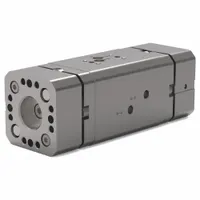 Parallel Gripper: 31.8 mm Stroke Lg, 21.7 psi to 100 psi, 100 psi Max Op Pressure, 104 mm Overall Wd (MPN DPW-250M-2)