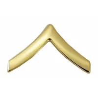 HEROS PRIDE Metal Emblem: Private, 3/4 in, Gold, Metal, Clutch Pin, Rank Insignia, 1 PR (MPN 6550)