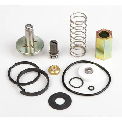 ASCO Valve Rebuild Kit (MPN 302300) - Repair Kits for Solenoid Valves