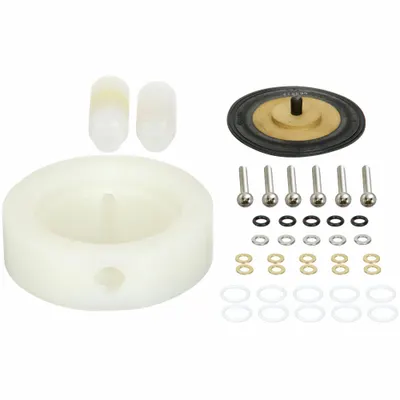 PULSATRON Pump Head Repair Kit: Mfr Part # K8PTCB - Pump Head Service Kits & Repair Parts