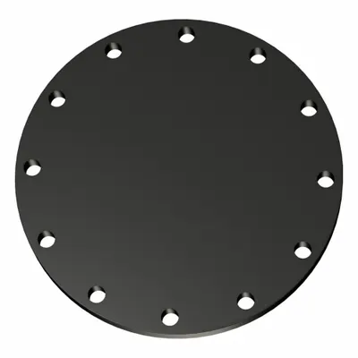 OEM Metal Pipe Flange: 14 in - Blind Iron Pipe Flanges
