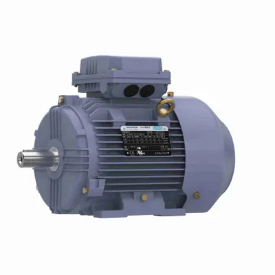 MARATHON MOTORS General Purpose Motor: 4 hp, Rigid Base Mount, 100L Frame Size - Rigid Base 3-Phase IEC Metric General Purpose AC Motors
