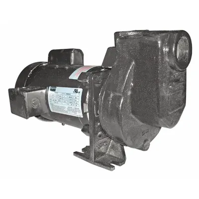 Dayton Centrifugal Pump: 115/230V AC, 50 ft Max Head, 1 1/2 in Compat Intake and Disch - 1/8 to 1 HP Self-Priming Centrifugal Pumps