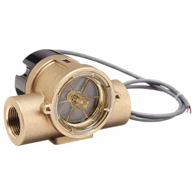 GEMS SENSORS Flow Indicator: Rotor, Brass, 1/4 in FNPT, 1/4 in Connection Size, FNPT - Flow Sights with Remote Output