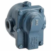 Steam Trap: Cast Iron, 3/4 in FNPT, 1,200 lb/hr, 15 psi Max., 353°F Max., In-line (MPN 15BI3)