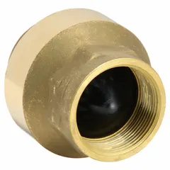 This BONOMI inline disc check valve is made of lead-free brass with female NPT threads on both ends (FNPT x FNPT). It has a 2-1/2 inch pipe size and is designed to prevent backflow in plumbing and low-pressure fluid systems, such as potable water and irrigation lines.