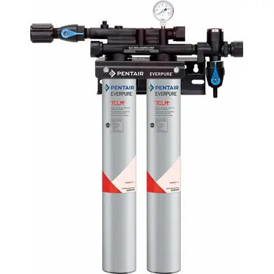 EVERPURE Water Filtration System: 5 micron, 3.3 gpm, FNPT, 25 in Overall Ht - Multi-Purpose Water Filter Systems