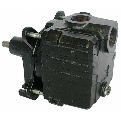 Dayton Pedestal Pump: Self-Priming, Cast Iron, 1 hp, 40 ft Max Head - Self-Priming Pedestal Pumps