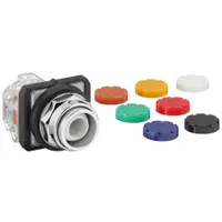 DAYTON Flush Push Button Operator: Non-Illuminated, Flush Profile, Metallic, 30 mm, 1NO/1NC