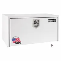 BUYERS PRODUCTS Underbody: Underbody Truck Box, Single Drop-Down Door Door, 24 in Overall Dp, White (MPN 1704403)