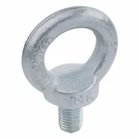 Lifting Eye Bolt: With Shoulder, Steel, Zinc-Plated, M12 Thread Size, 20.5 mm Shank Lg, 2,400 N (MPN 580-M12-ST)
