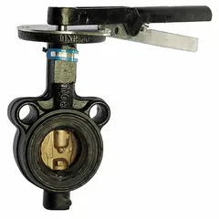 This ductile iron butterfly valve features a concentric wafer design with a lever handle and ductile iron disc. Rated for 250 psi CWP, it is suited for on-off or throttling flow control in general-service industrial piping systems handling water, air, and non-corrosive fluids.