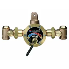 Thermostatic mixing valve for blending steam and cold water to a controlled outlet temperature. Features NBR seal material and 1 in x 1 1/4 in connection size. Suitable for industrial process heating, washdown stations, and sanitation applications.