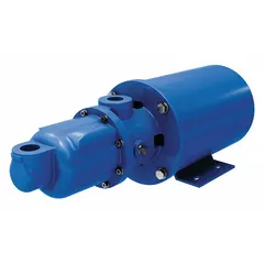 Direct drive AC motor progressive cavity pump with cast iron housing, Buna-N elastomers, and stainless steel rotor. Wobble stator design suited for water and low-viscosity fluids in industrial applications such as wastewater, chemical transfer, and food processing.