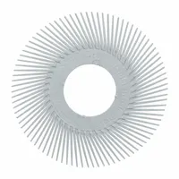 Precision Radial Bristle Brush (MPN 7100374840)